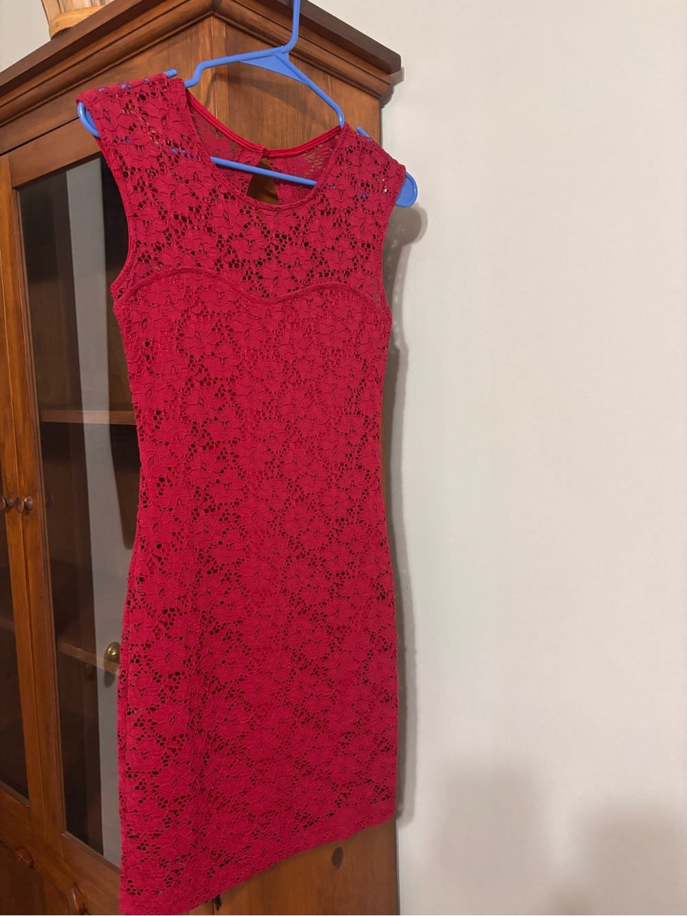 Lovely Day Burgundy Lace Mini Dress